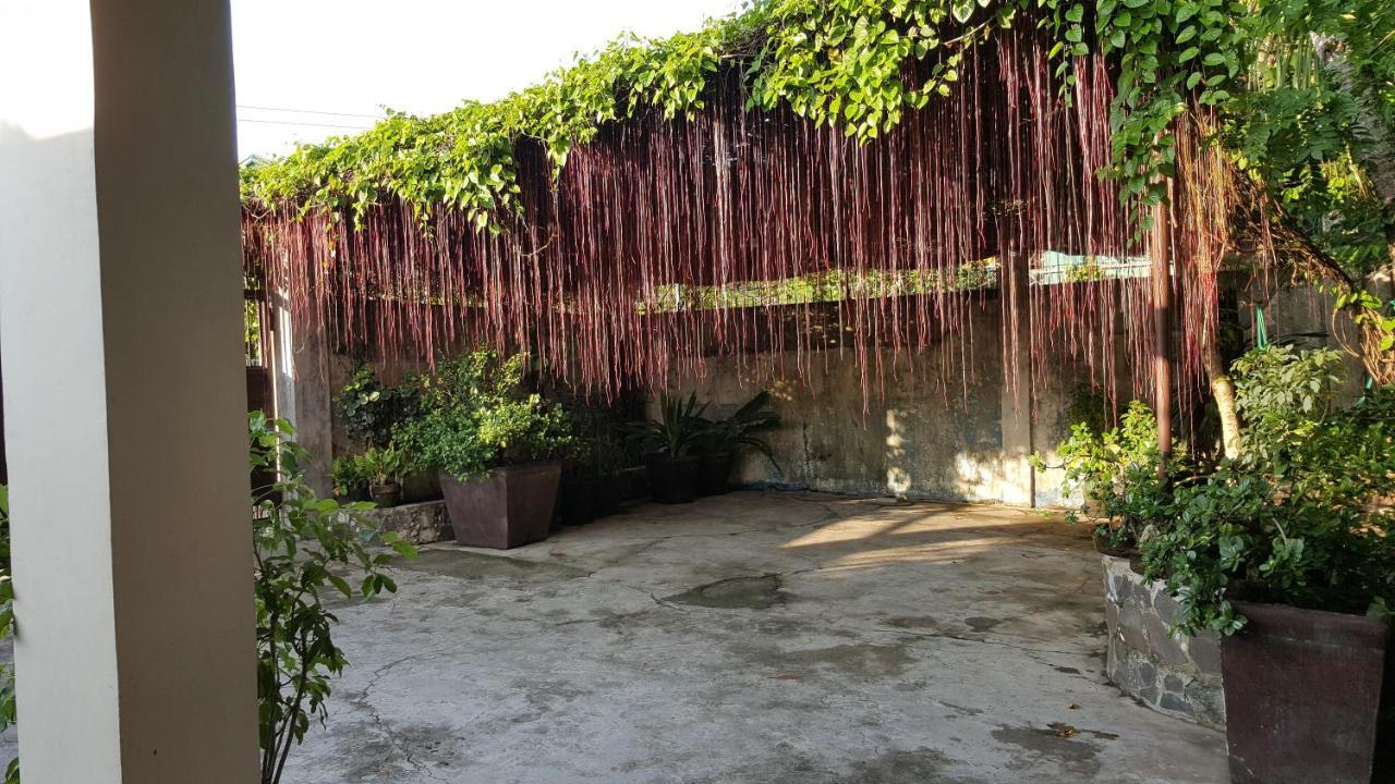 Homestay Sanctuary Transient House *